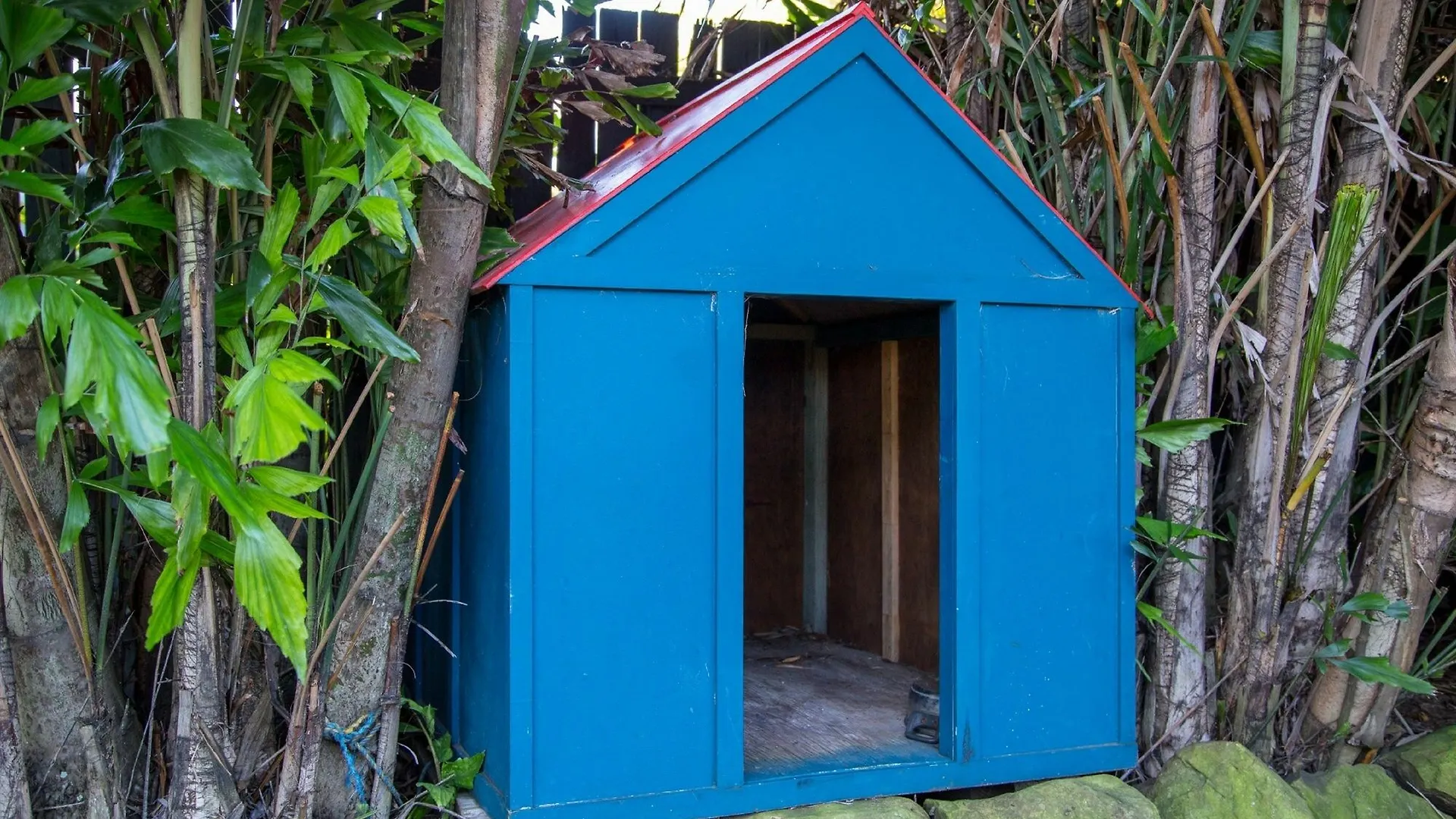 A Perfect Stay - Frankie'S Beach House Byron Bay